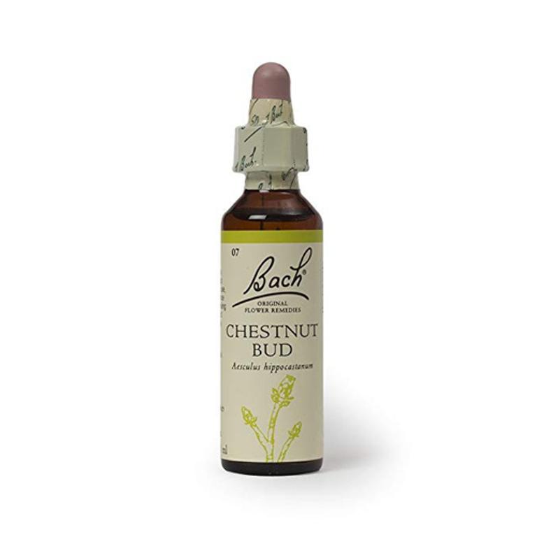 FIORI DI BACH CHESTNUT BUD GEMMA DI IPPOCASTANO ORIG 20ML