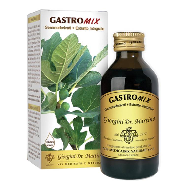 GASTROMIX LIQUIDO ANALC 100ML