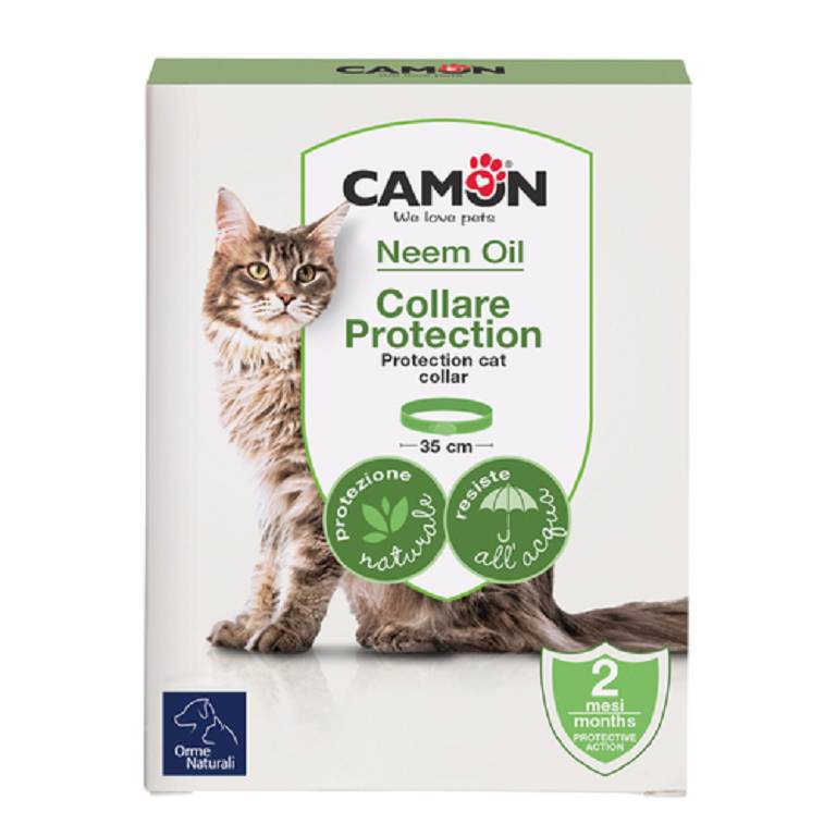 PROTECTION COLLARE BARRI GATTO