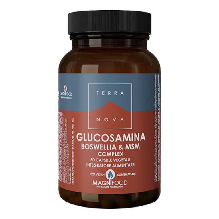 TERRANOVA COMPL GLUCOSAMINA BOSWELLA MSM 50CPS