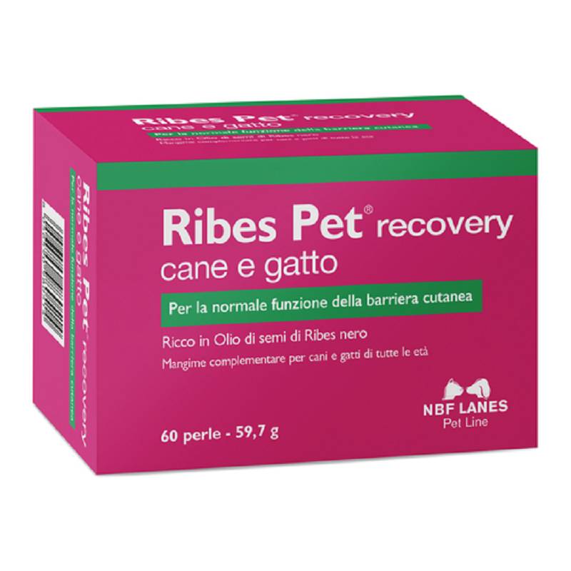 RIBES PET RECOVERY 60PRL